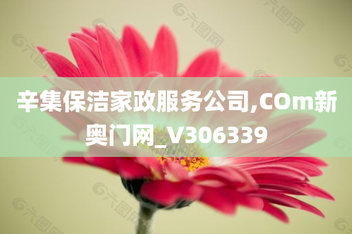 辛集保洁家政服务公司,COm新奥门网_V306339