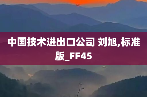 中国技术进出口公司 刘旭,标准版_FF45