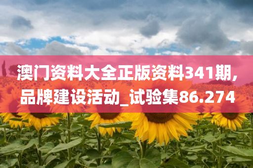 澳门资料大全正版资料341期,品牌建设活动_试验集86.274