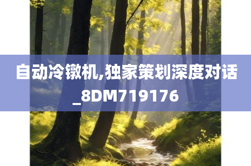 自动冷镦机,独家策划深度对话_8DM719176