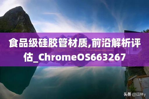 食品级硅胶管材质,前沿解析评估_ChromeOS663267