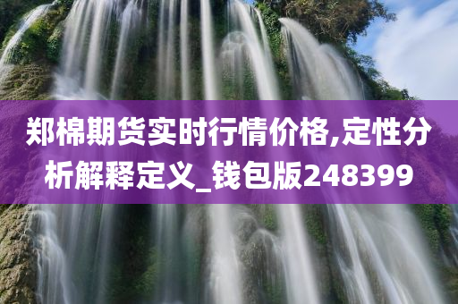 郑棉期货实时行情价格,定性分析解释定义_钱包版248399