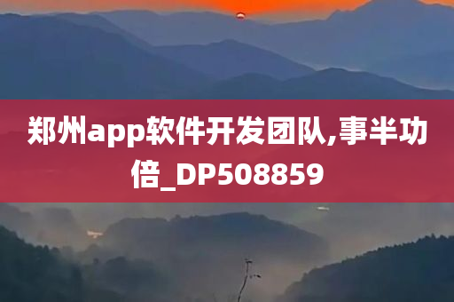 郑州app软件开发团队,事半功倍_DP508859