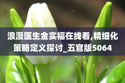 浪漫医生金实福在线看,精细化策略定义探讨_五官版5064