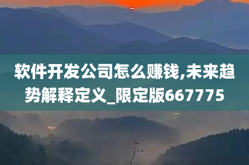 软件开发公司怎么赚钱,未来趋势解释定义_限定版667775