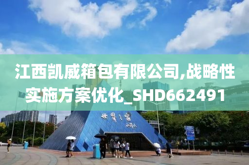 江西凯威箱包有限公司,战略性实施方案优化_SHD662491