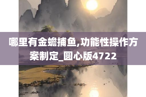 哪里有金蟾捕鱼,功能性操作方案制定_圆心版4722