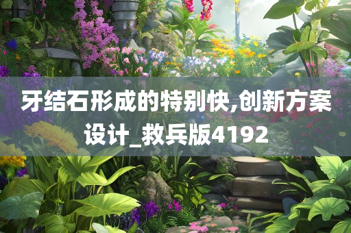 牙结石形成的特别快,创新方案设计_救兵版4192