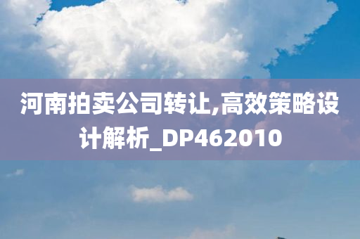 河南拍卖公司转让,高效策略设计解析_DP462010