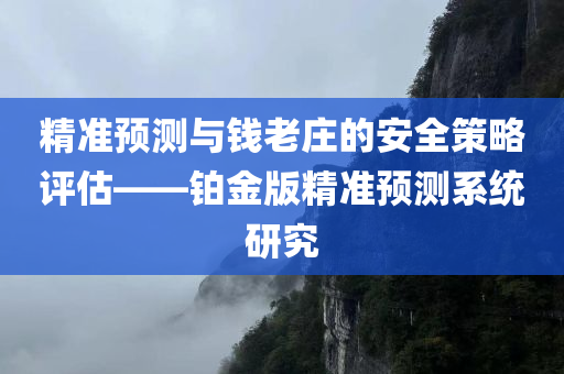 精准预测与钱老庄的安全策略评估——铂金版精准预测系统研究