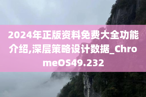 2024年正版资料免费大全功能介绍,深层策略设计数据_ChromeOS49.232