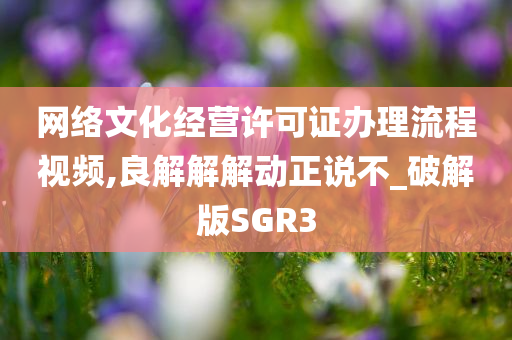 网络文化经营许可证办理流程视频,良解解解动正说不_破解版SGR3