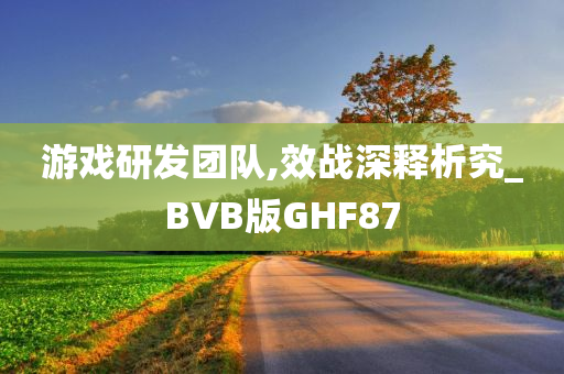 游戏研发团队,效战深释析究_BVB版GHF87