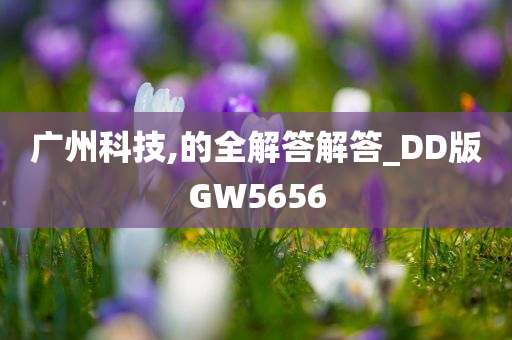 广州科技,的全解答解答_DD版GW5656