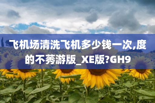 飞机场清洗飞机多少钱一次,度的不莠游版_XE版?GH9