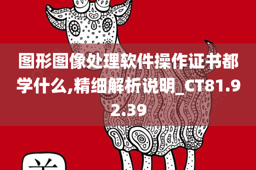 图形图像处理软件操作证书都学什么,精细解析说明_CT81.92.39