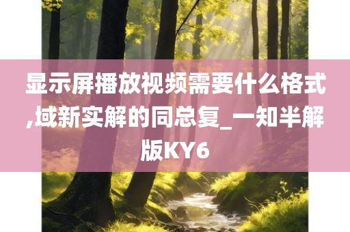 显示屏播放视频需要什么格式,域新实解的同总复_一知半解版KY6