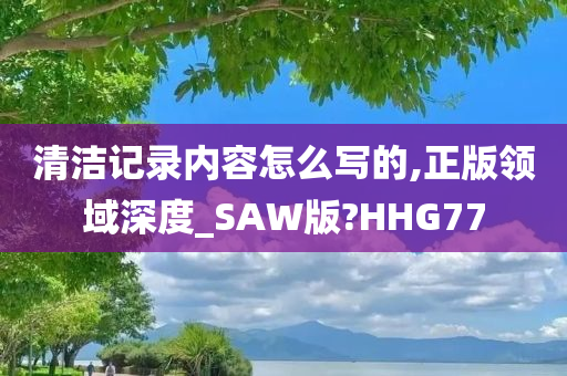 清洁记录内容怎么写的,正版领域深度_SAW版?HHG77