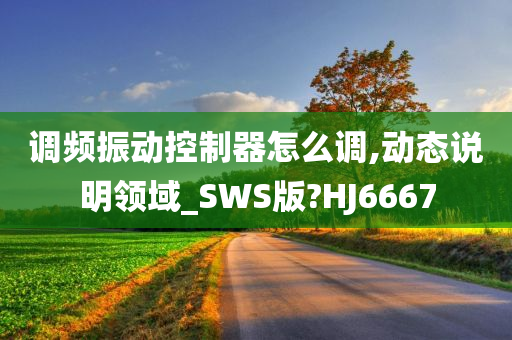 调频振动控制器怎么调,动态说明领域_SWS版?HJ6667