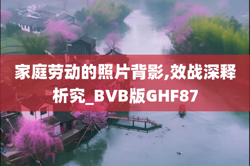 家庭劳动的照片背影,效战深释析究_BVB版GHF87