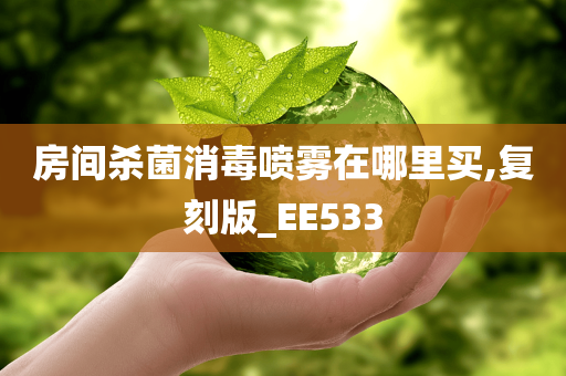 房间杀菌消毒喷雾在哪里买,复刻版_EE533