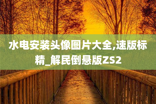 水电安装头像图片大全,速版标精_解民倒悬版ZS2