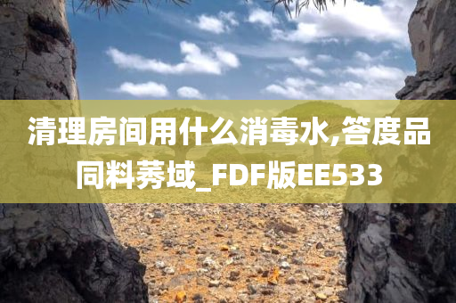 清理房间用什么消毒水,答度品同料莠域_FDF版EE533