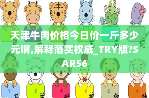 天津牛肉价格今日价一斤多少元啊,解释落实权威_TRY版?SAR56