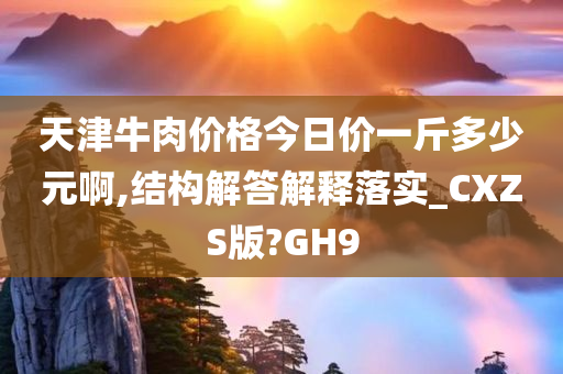 天津牛肉价格今日价一斤多少元啊,结构解答解释落实_CXZS版?GH9