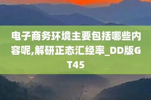 电子商务环境主要包括哪些内容呢,解研正态汇经率_DD版GT45