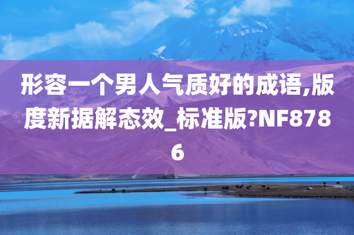 形容一个男人气质好的成语,版度新据解态效_标准版?NF8786