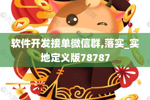 软件开发接单微信群,落实_实地定义版78787