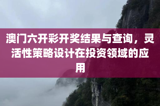 澳门六开彩开奖结果与查询，灵活性策略设计在投资领域的应用