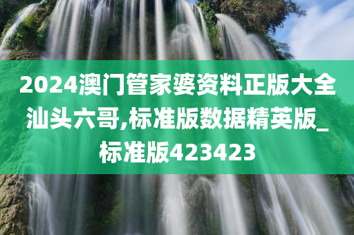 2024澳门管家婆资料正版大全汕头六哥,标准版数据精英版_标准版423423