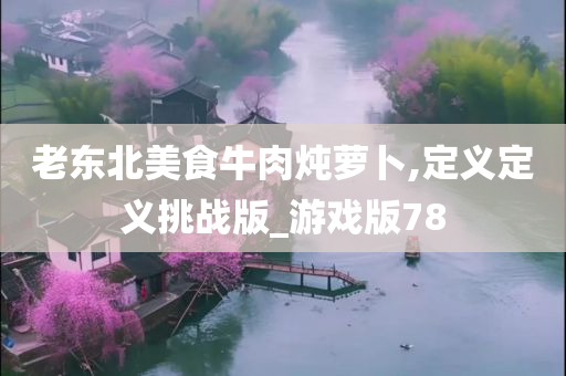 老东北美食牛肉炖萝卜,定义定义挑战版_游戏版78