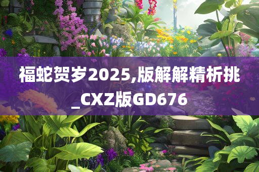 福蛇贺岁2025,版解解精析挑_CXZ版GD676