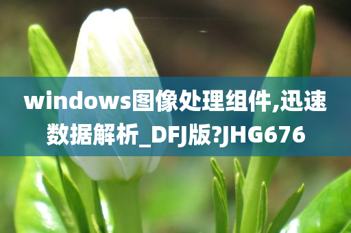 windows图像处理组件,迅速数据解析_DFJ版?JHG676