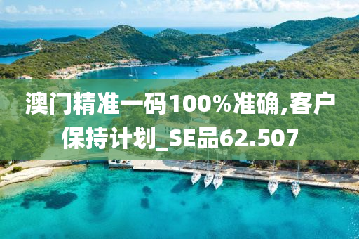 澳门精准一码100%准确,客户保持计划_SE品62.507