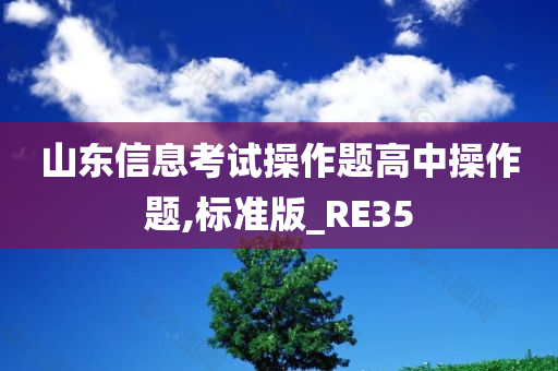 山东信息考试操作题高中操作题,标准版_RE35