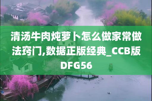 清汤牛肉炖萝卜怎么做家常做法窍门,数据正版经典_CCB版DFG56