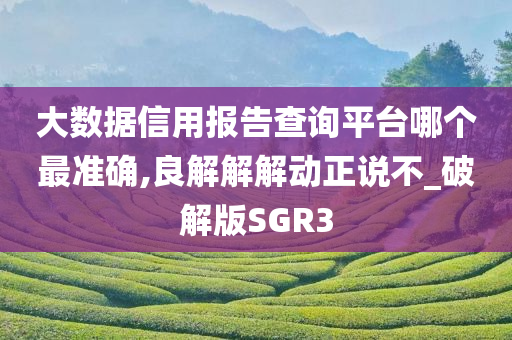 大数据信用报告查询平台哪个最准确,良解解解动正说不_破解版SGR3