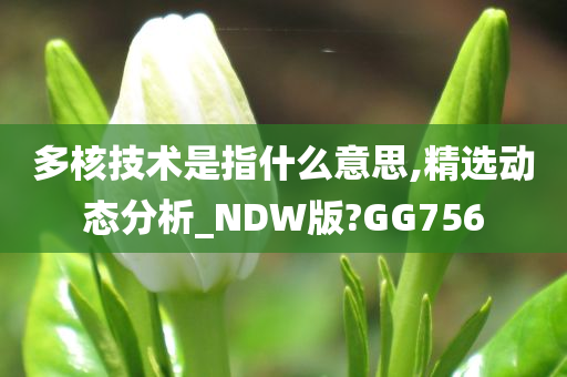 多核技术是指什么意思,精选动态分析_NDW版?GG756