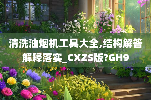 清洗油烟机工具大全,结构解答解释落实_CXZS版?GH9