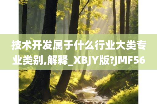 技术开发属于什么行业大类专业类别,解释_XBJY版?JMF56