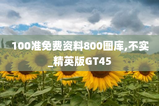 100准免费资料800图库,不实_精英版GT45