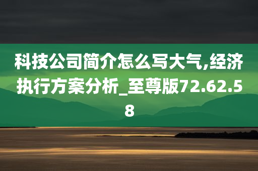 科技公司简介怎么写大气,经济执行方案分析_至尊版72.62.58