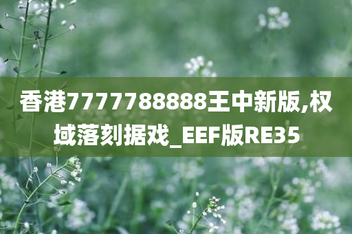 香港7777788888王中新版,权域落刻据戏_EEF版RE35