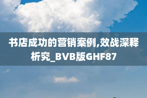 书店成功的营销案例,效战深释析究_BVB版GHF87