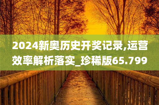 2024新奥历史开奖记录,运营效率解析落实_珍稀版65.799