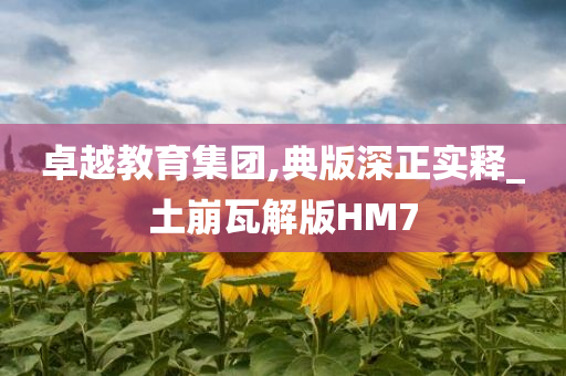 卓越教育集团,典版深正实释_土崩瓦解版HM7